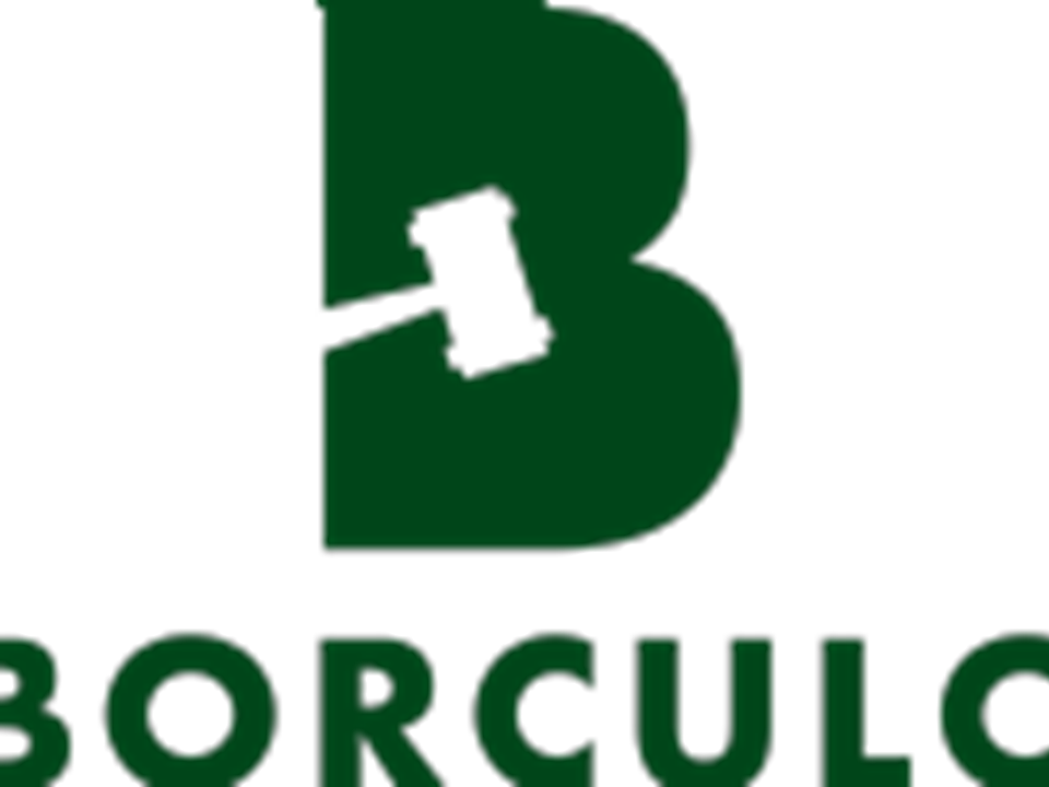 Logoborculoalgrgb